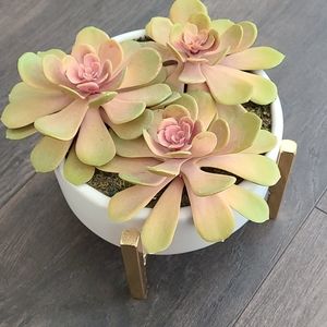 Faux succulent in white planter with gold